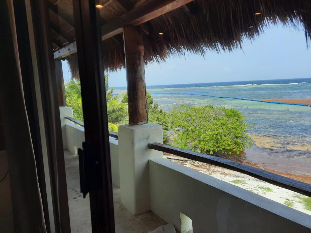 Porto Coral Hotel & Suites เชตุมัล ภายนอก รูปภาพ